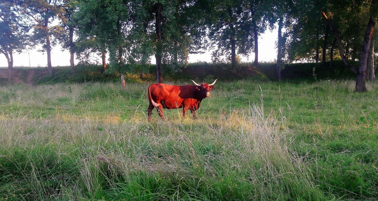 Vila Le Marly'S Wasigny Exteriér fotografie